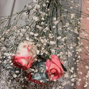 ごめんなさい🙏💦