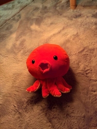 おはようございます❗️