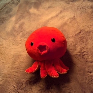 おはようございます❗️