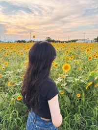 昨日もありがとう🌻