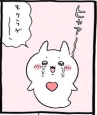 本日おやすみです泣