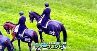 🐴 天皇賞 🐴 春 🌸