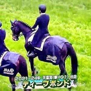🐴 天皇賞 🐴 春 🌸