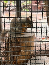 シフトあげました！