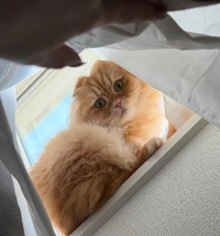 ありがとう💗💗💗