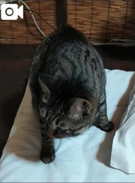 こっちも好きだわぁ……😍
