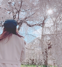 よろしくお願いします🌸🐴