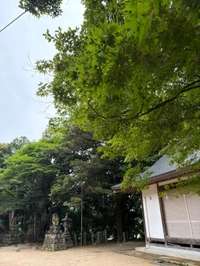 AGORAの日♡