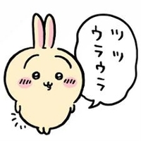 今回の出社予定