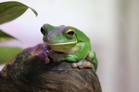 好きなタイプ🚗