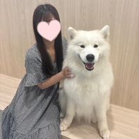 癒し空間🐈‍⬛