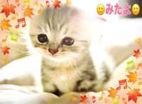 みたよ(*ˊ˘ˋ*)♡