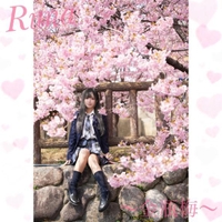 ＼大人気！！！／