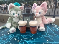 向かいます🐰