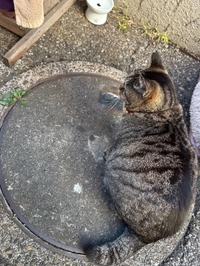 2026.01.13㊗️0:00 令和８年１月１３日㊗️