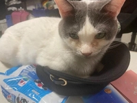 朝イチ病院行ってから向かうね🫧