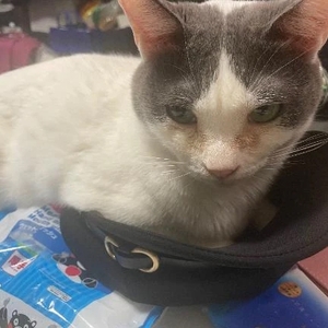 朝イチ病院行ってから向かうね🫧