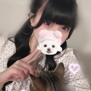 ネコちゃん❣️