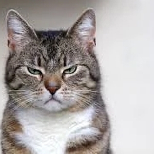 🩵必読 大切なお知らせ🩵