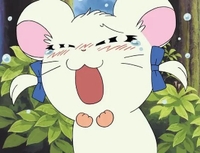 ごめんなさい😢
