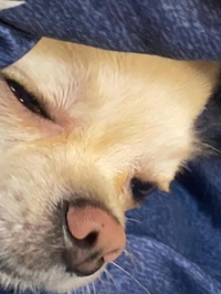 ごめんねとありがとう🙏🙇