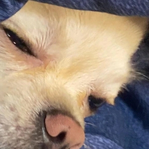 ごめんねとありがとう🙏🙇