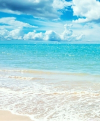 『水着さんを・・・?』?完結