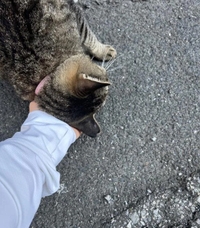 みたよ／シフト