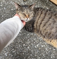 みたよ／シフト