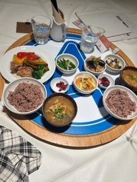 シキの大冒険part10