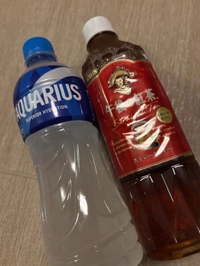 本指名綺麗好きくん