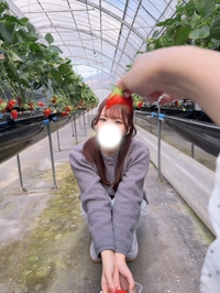 住みたいくらい好き
