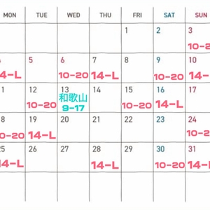 5月の予定🫧