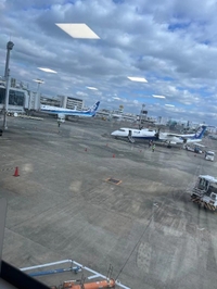 今日からしばらく🧸