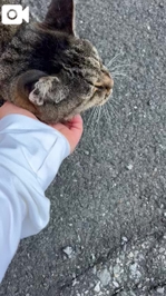 みたよ／シフト