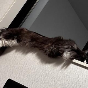 🩶撮影してくるよーん🩶
