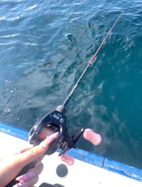 あむつり日記🩷🐟