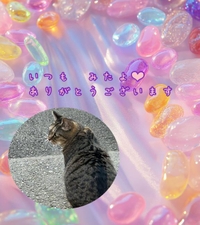 みたよ／シフト