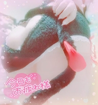 沢山美味しいの収穫出来ました??