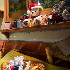 次は木曜日です😌