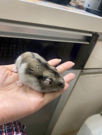 みんなの癒やし💏