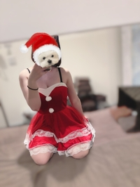 サンタコスの日🎅🏻🎀