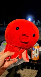今から帰るタコ‼️🐙