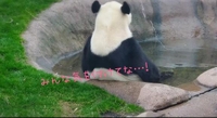 そんなわけwww