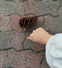 今日も幸せでした🌸