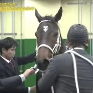 秋のダート王はなんと！