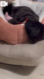 首大丈夫そ？？😂