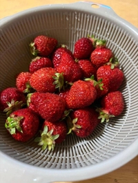 だーいすきな🍓