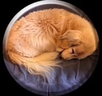 みたよ／マイナ保険証