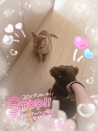 〇〇会議📝 ́͏̖-
